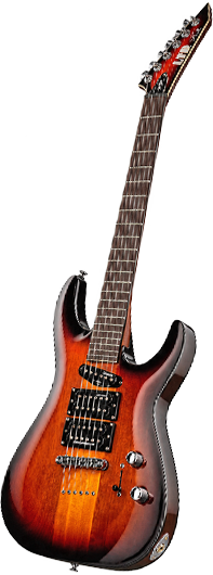 LTD Guitar