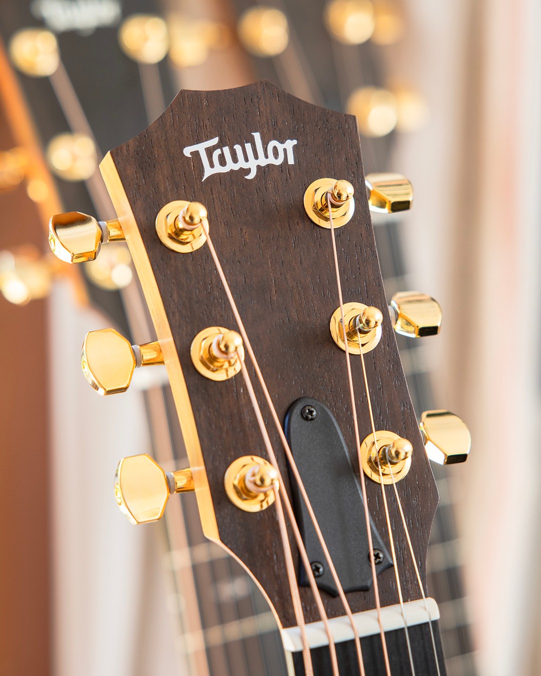Taylor